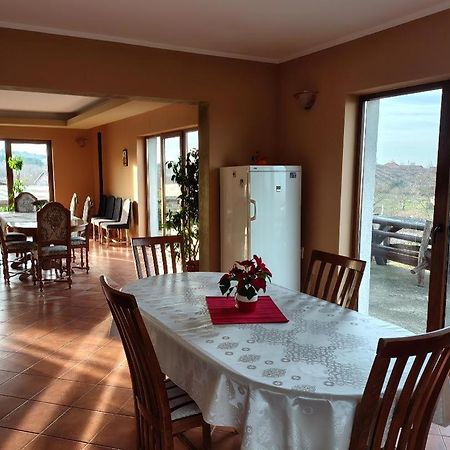 Vis Pension Viile Satu Mare Exterior photo