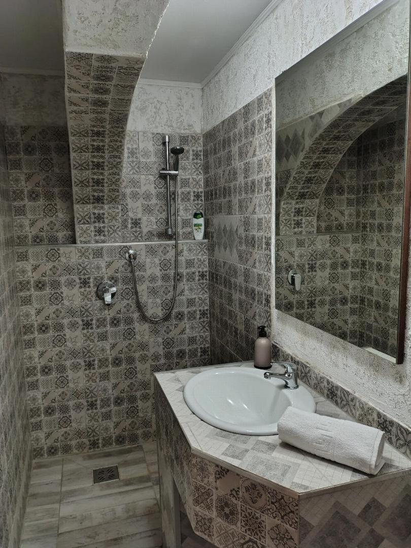Vis Pension Viile Satu Mare Exterior photo