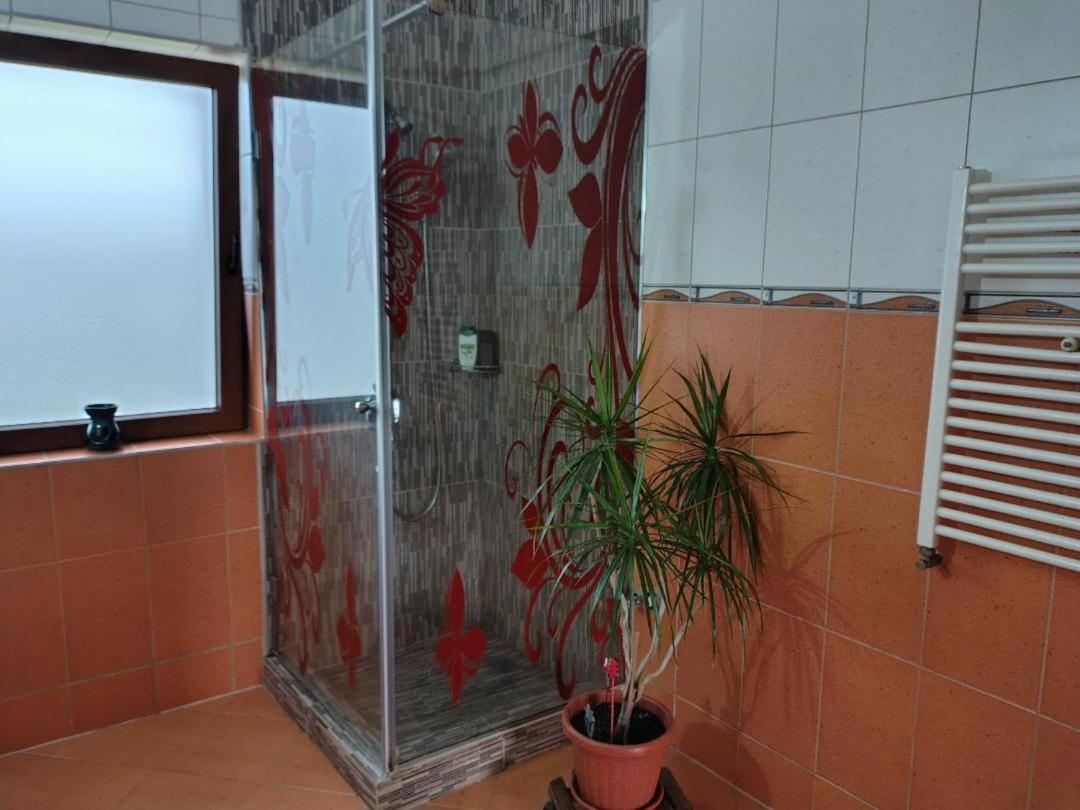 Vis Pension Viile Satu Mare Exterior photo