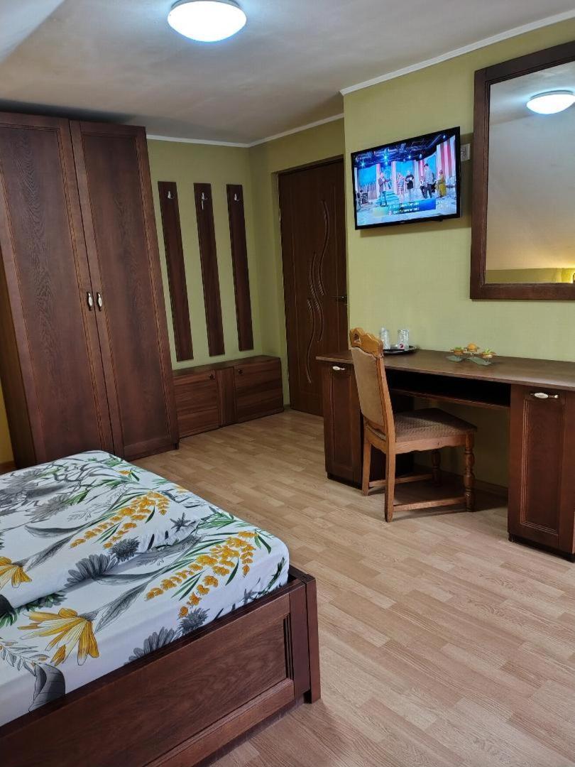 Vis Pension Viile Satu Mare Exterior photo