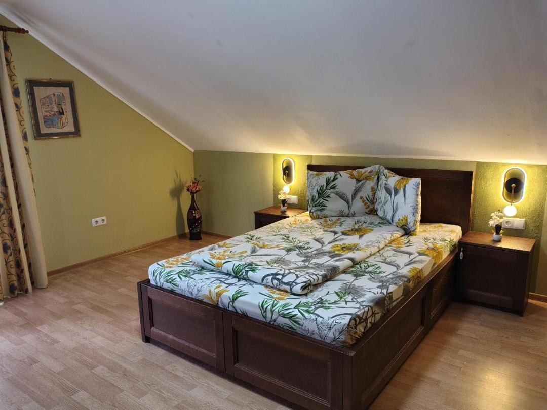 Vis Pension Viile Satu Mare Exterior photo