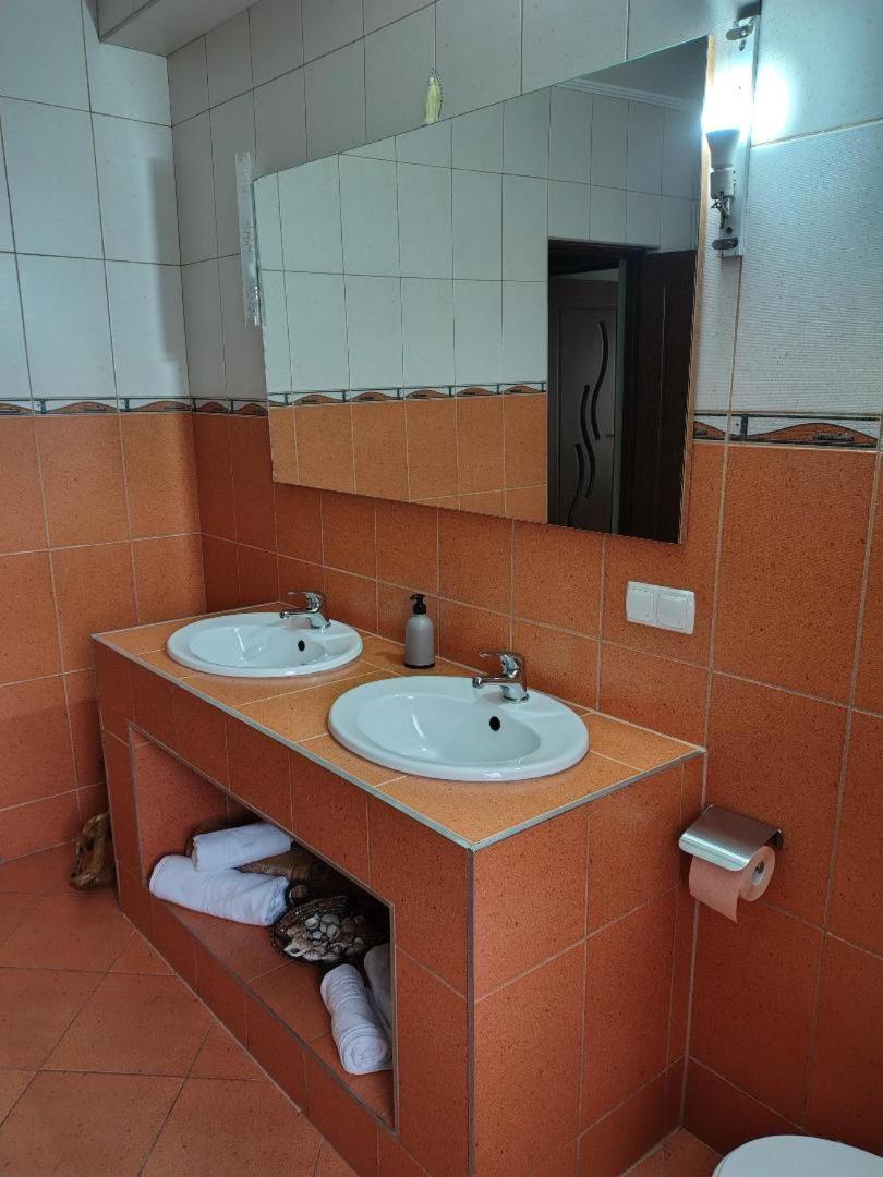 Vis Pension Viile Satu Mare Exterior photo