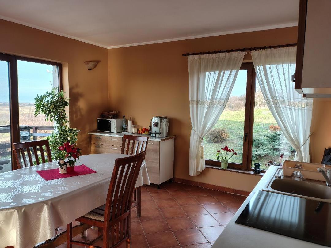 Vis Pension Viile Satu Mare Exterior photo
