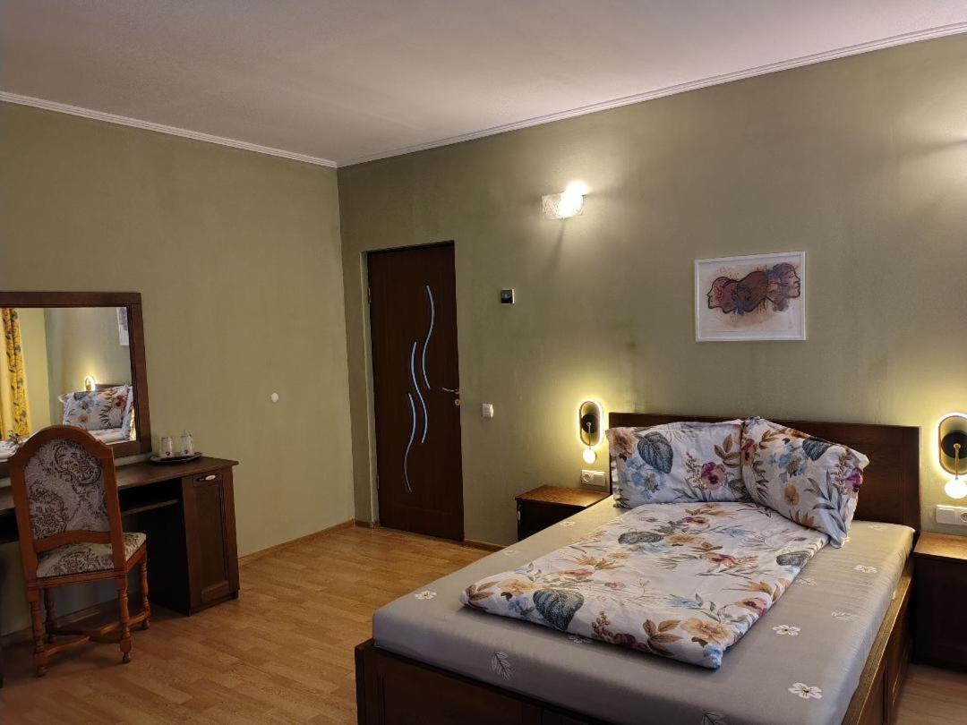 Vis Pension Viile Satu Mare Exterior photo