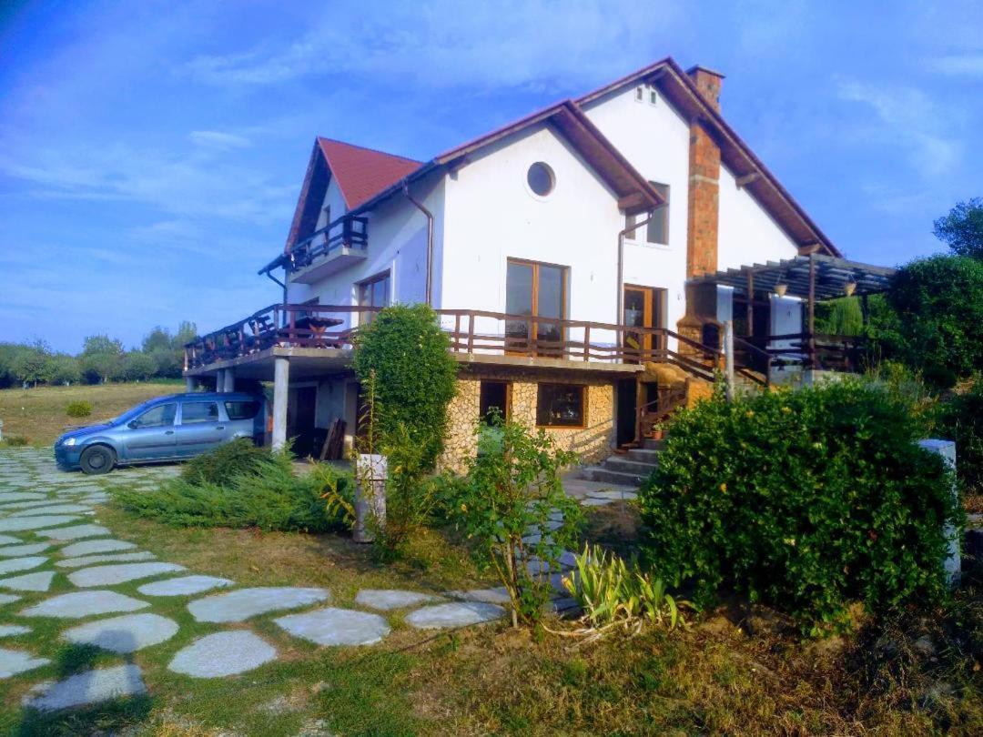 Vis Pension Viile Satu Mare Exterior photo