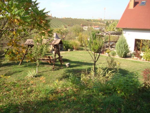 Vis Pension Viile Satu Mare Exterior photo