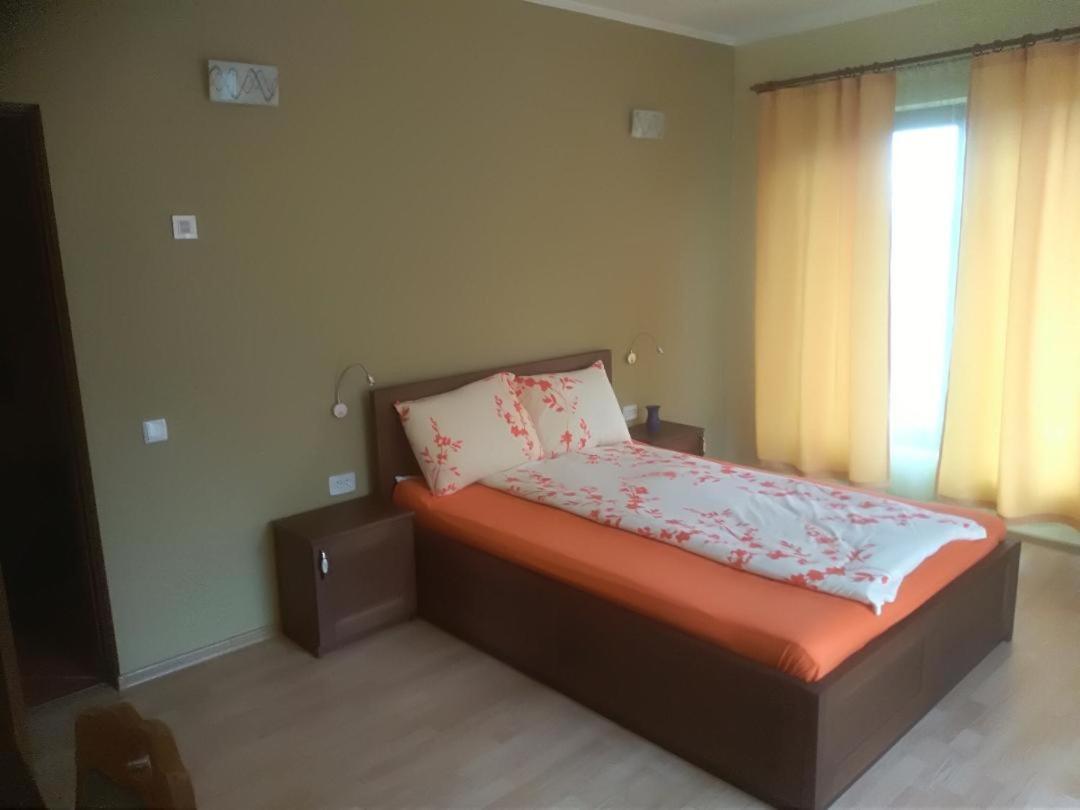 Vis Pension Viile Satu Mare Exterior photo