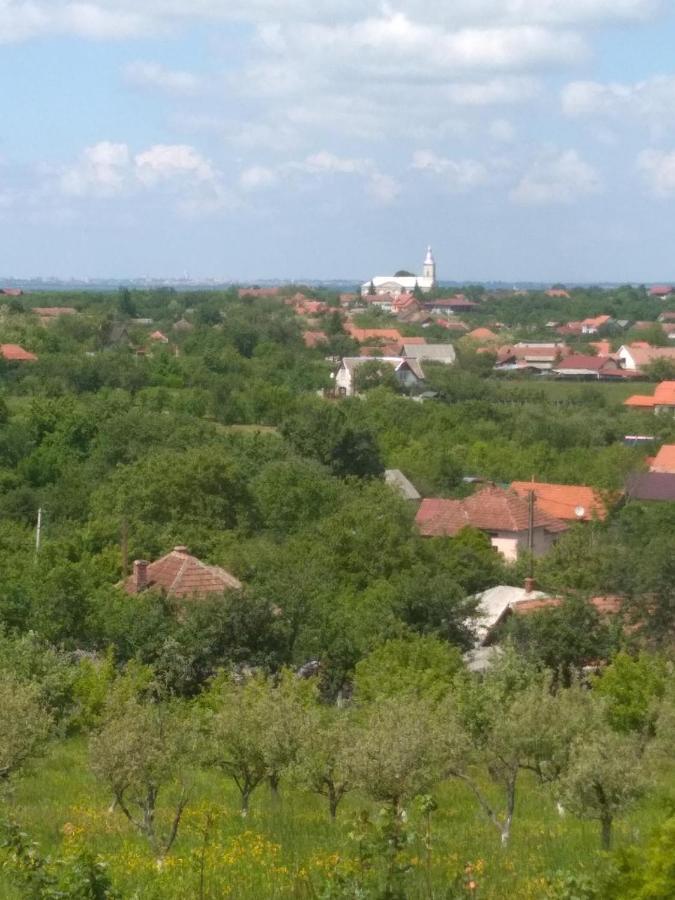 Vis Pension Viile Satu Mare Exterior photo