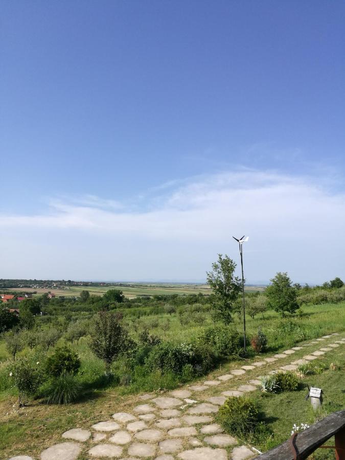 Vis Pension Viile Satu Mare Exterior photo