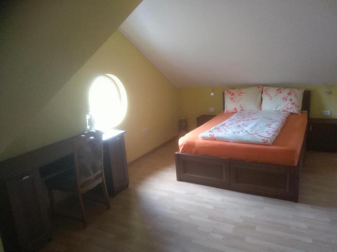 Vis Pension Viile Satu Mare Exterior photo