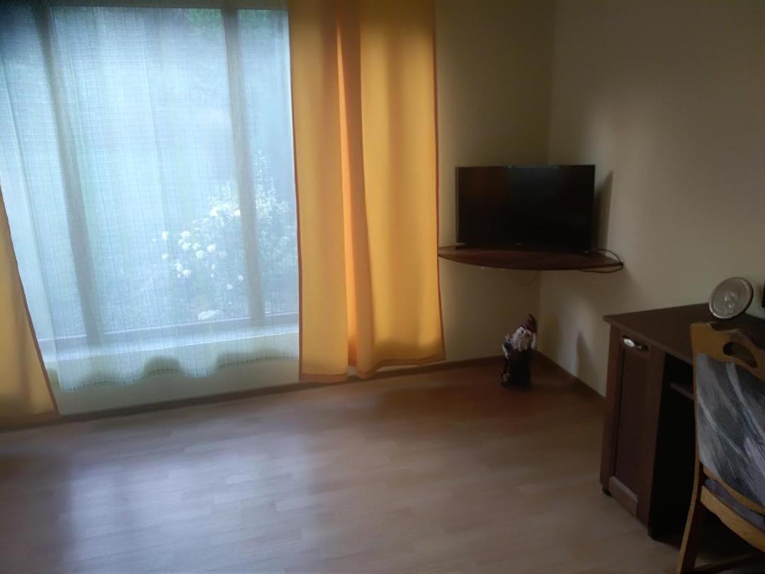 Vis Pension Viile Satu Mare Exterior photo