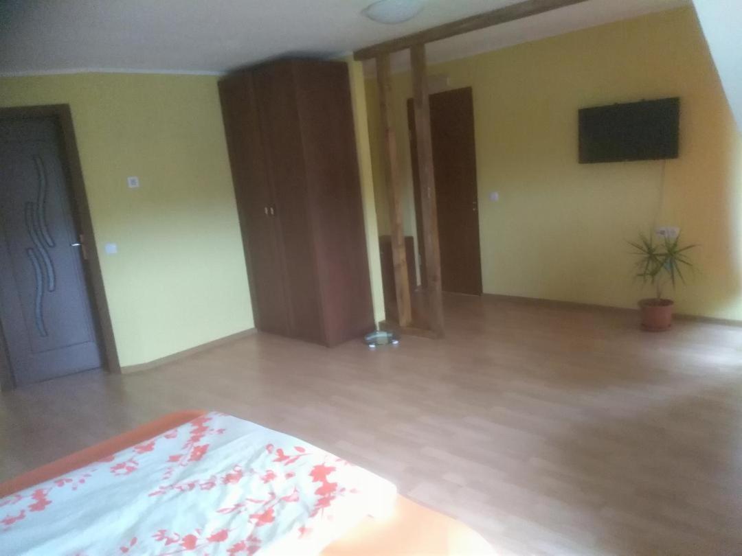 Vis Pension Viile Satu Mare Exterior photo